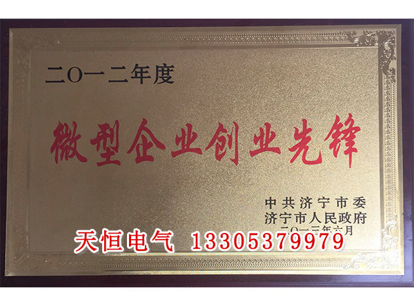  榮譽資質